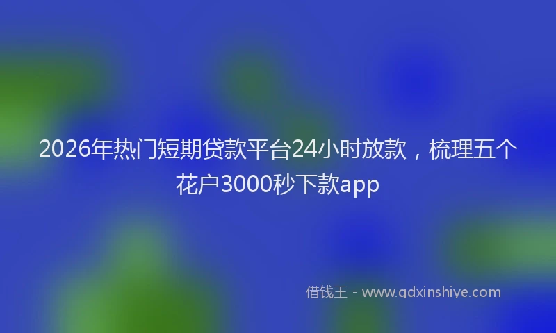2026年热门短期贷款平台24小时放款，梳理五个花户3000秒下款app
