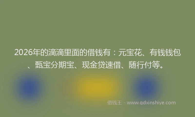 2026年的滴滴里面的借钱有：元宝花、有钱钱包、甄宝分期宝、现金贷速借、随行付等。