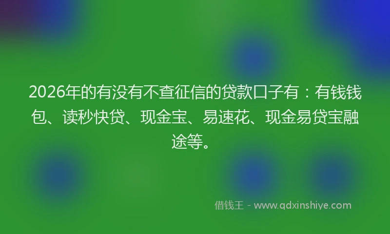 2026年的有没有不查征信的贷款口子有：有钱钱包、读秒快贷、现金宝、易速花、现金易贷宝融途等。
