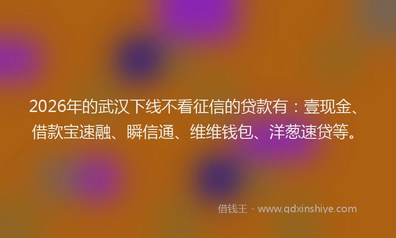 2026年的武汉下线不看征信的贷款有：壹现金、借款宝速融、瞬信通、维维钱包、洋葱速贷等。