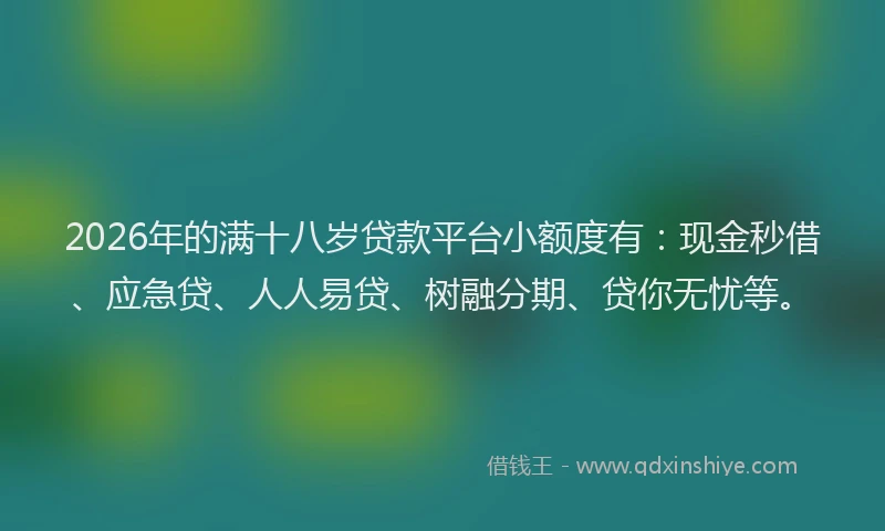 2026年的满十八岁贷款平台小额度有：现金秒借、应急贷、人人易贷、树融分期、贷你无忧等。
