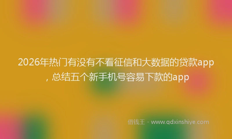 2026年热门有没有不看征信和大数据的贷款app，总结五个新手机号容易下款的app