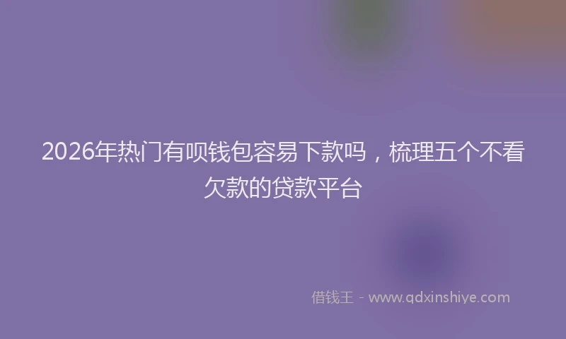 2026年热门有呗钱包容易下款吗，梳理五个不看欠款的贷款平台