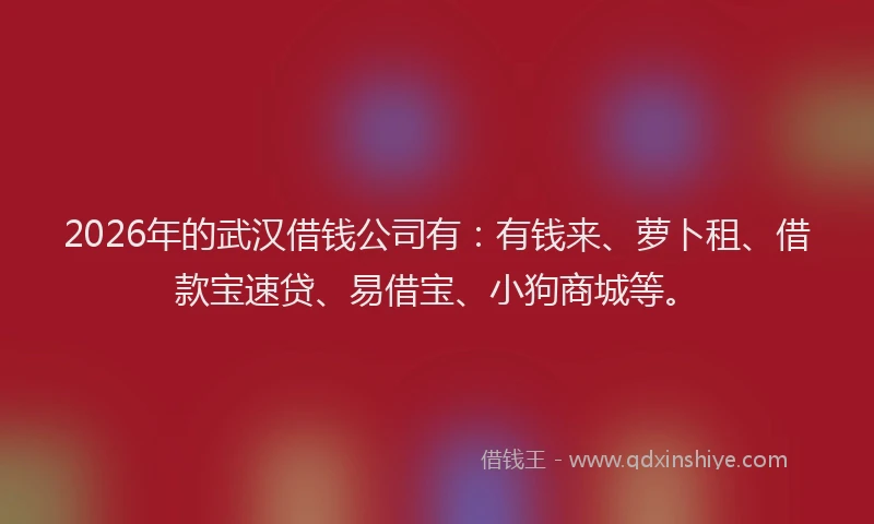 2026年的武汉借钱公司有：有钱来、萝卜租、借款宝速贷、易借宝、小狗商城等。
