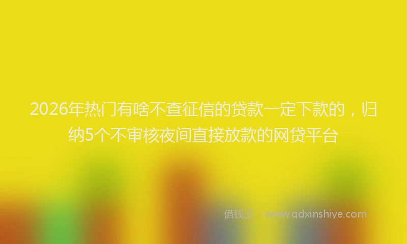 2026年热门有啥不查征信的贷款一定下款的，归纳5个不审核夜间直接放款的网贷平台