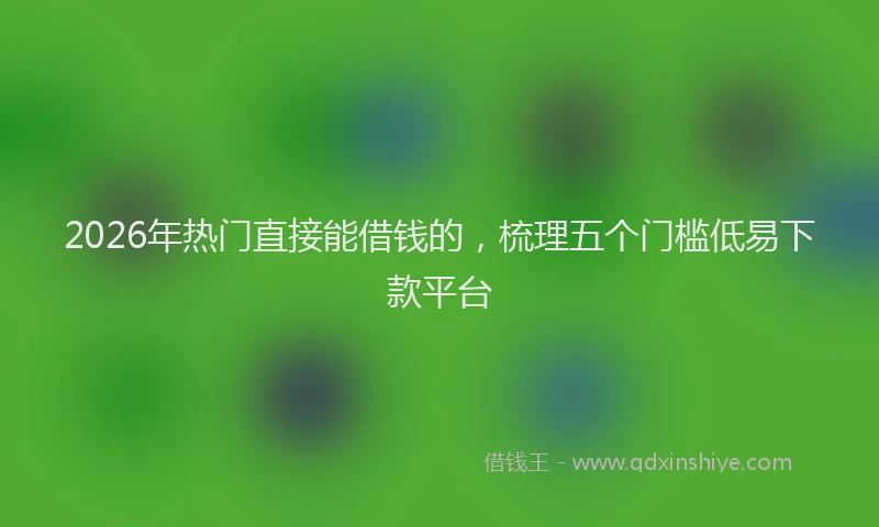 2026年热门直接能借钱的，梳理五个门槛低易下款平台