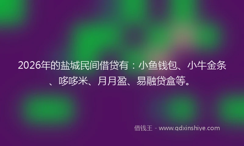 2026年的盐城民间借贷有：小鱼钱包、小牛金条、哆哆米、月月盈、易融贷盒等。