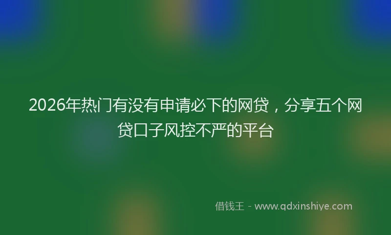 2026年热门有没有申请必下的网贷，分享五个网贷口子风控不严的平台