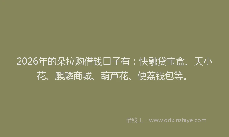2026年的朵拉购借钱口子有：快融贷宝盒、天小花、麒麟商城、葫芦花、便荔钱包等。