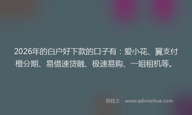 2026年的白户好下款的口子有：爱小花、翼支付橙分期、易借速贷融、极速易购、一姐租机等。