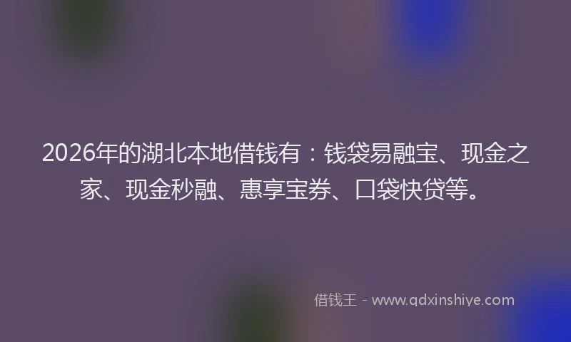 2026年的湖北本地借钱有：钱袋易融宝、现金之家、现金秒融、惠享宝券、口袋快贷等。