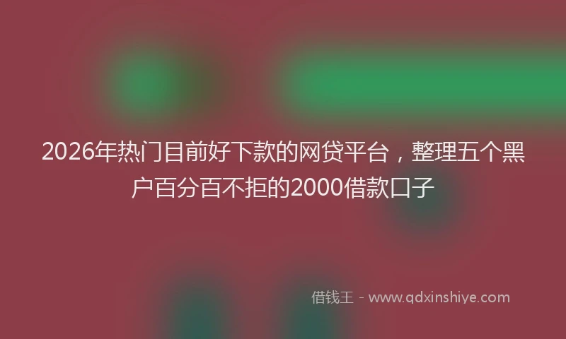 2026年热门目前好下款的网贷平台，整理五个黑户百分百不拒的2000借款口子