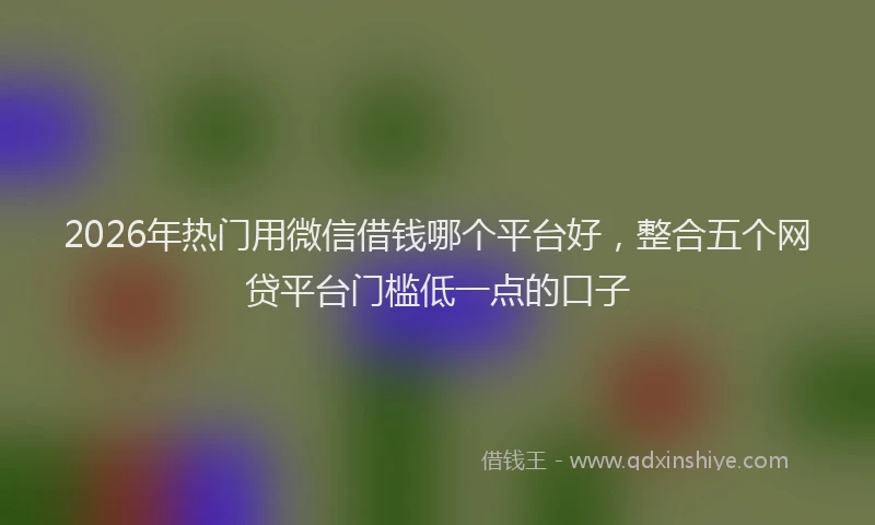 2026年热门用微信借钱哪个平台好，整合五个网贷平台门槛低一点的口子