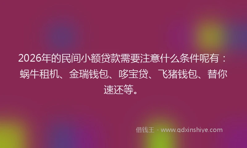 2026年的民间小额贷款需要注意什么条件呢有：蜗牛租机、金瑞钱包、哆宝贷、飞猪钱包、替你速还等。
