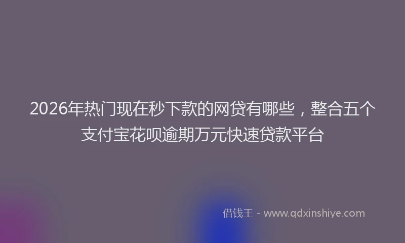 2026年热门现在秒下款的网贷有哪些，整合五个支付宝花呗逾期万元快速贷款平台