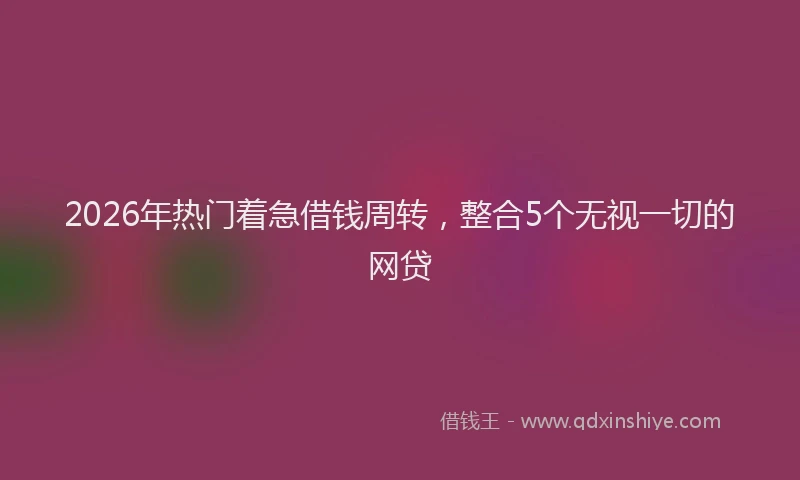 2026年热门着急借钱周转，整合5个无视一切的网贷