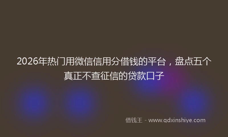 2026年热门用微信信用分借钱的平台，盘点五个真正不查征信的贷款口子