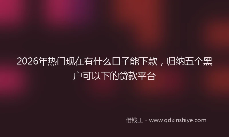 2026年热门现在有什么口子能下款，归纳五个黑户可以下的贷款平台