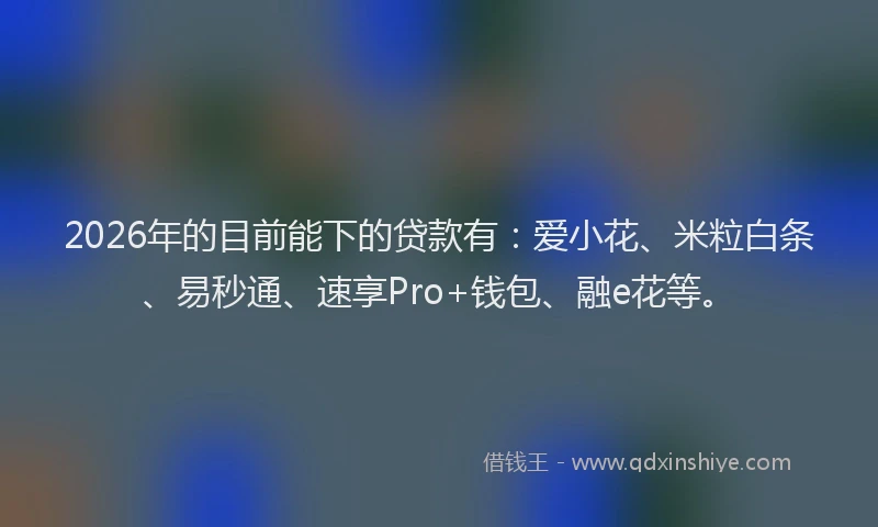 2026年的目前能下的贷款有：爱小花、米粒白条、易秒通、速享Pro+钱包、融e花等。
