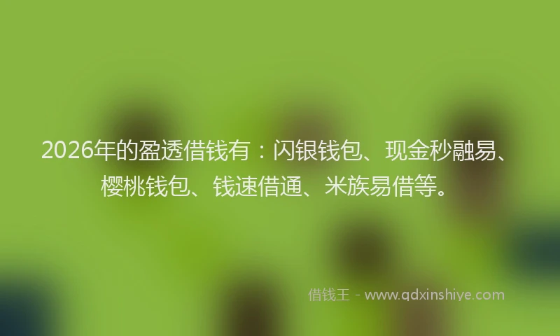 2026年的盈透借钱有：闪银钱包、现金秒融易、樱桃钱包、钱速借通、米族易借等。