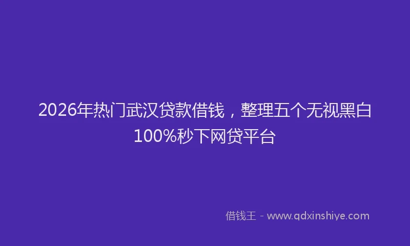 2026年热门武汉贷款借钱，整理五个无视黑白100%秒下网贷平台