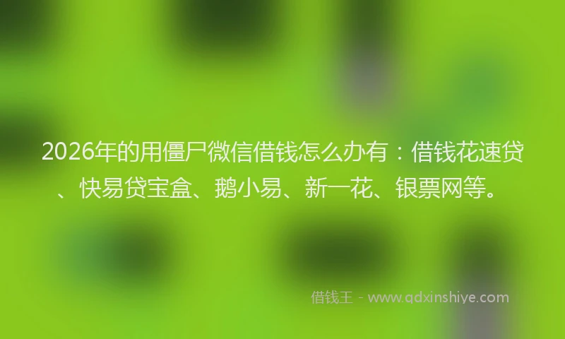 2026年的用僵尸微信借钱怎么办有：借钱花速贷、快易贷宝盒、鹅小易、新一花、银票网等。
