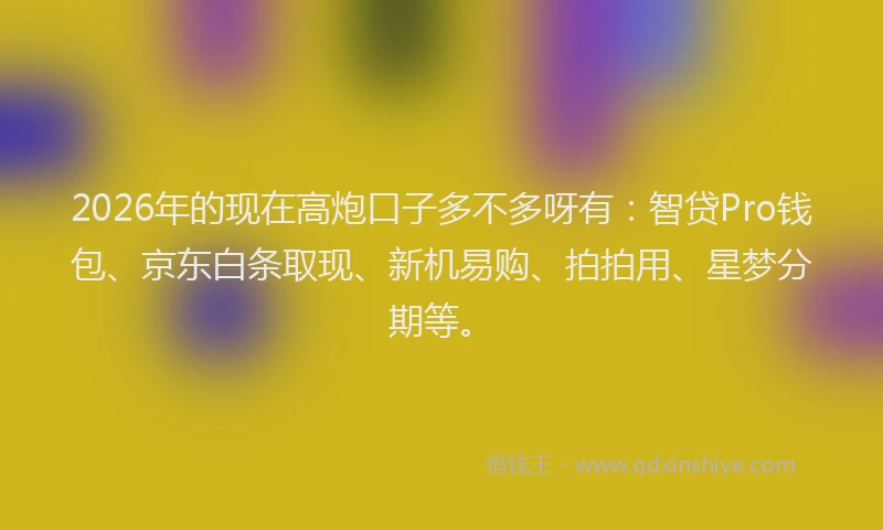 2026年的现在高炮口子多不多呀有：智贷Pro钱包、京东白条取现、新机易购、拍拍用、星梦分期等。
