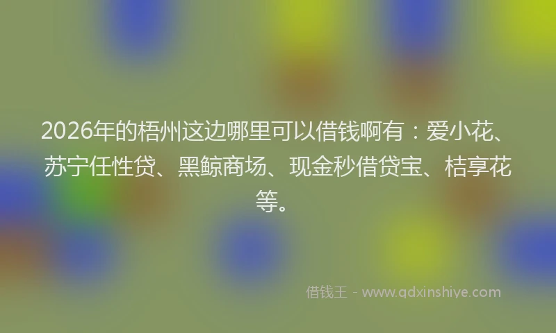 2026年的梧州这边哪里可以借钱啊有：爱小花、苏宁任性贷、黑鲸商场、现金秒借贷宝、桔享花等。