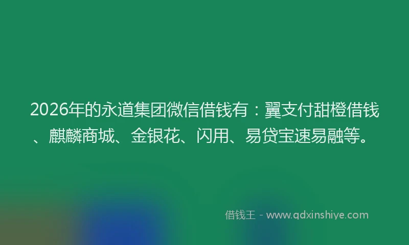 2026年的永道集团微信借钱有：翼支付甜橙借钱、麒麟商城、金银花、闪用、易贷宝速易融等。