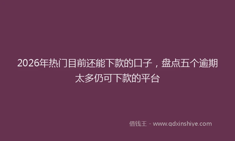 2026年热门目前还能下款的口子，盘点五个逾期太多仍可下款的平台