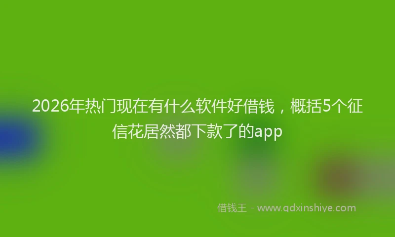 2026年热门现在有什么软件好借钱，概括5个征信花居然都下款了的app