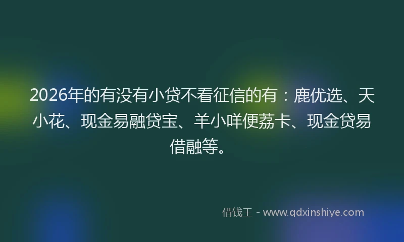 2026年的有没有小贷不看征信的有：鹿优选、天小花、现金易融贷宝、羊小咩便荔卡、现金贷易借融等。