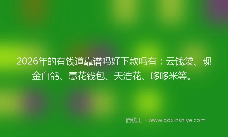 2026年的有钱道靠谱吗好下款吗有：云钱袋、现金白鸽、惠花钱包、天浩花、哆哆米等。