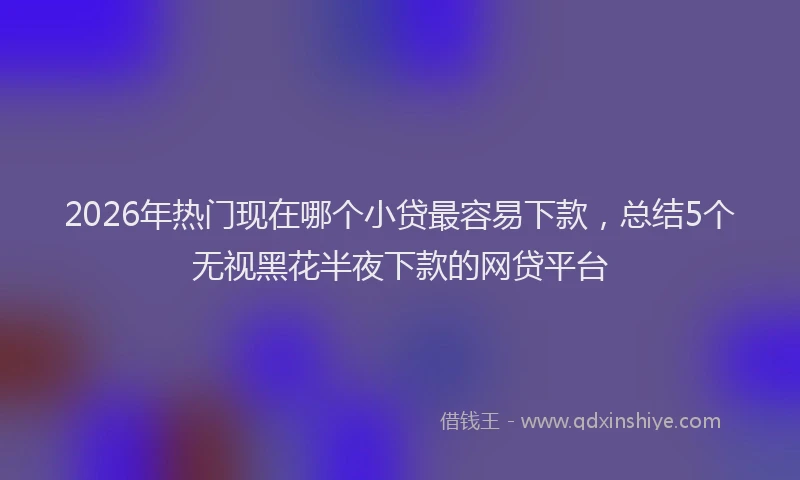 2026年热门现在哪个小贷最容易下款，总结5个无视黑花半夜下款的网贷平台