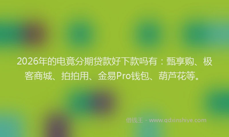 2026年的电竟分期贷款好下款吗有：甄享购、极客商城、拍拍用、金易Pro钱包、葫芦花等。