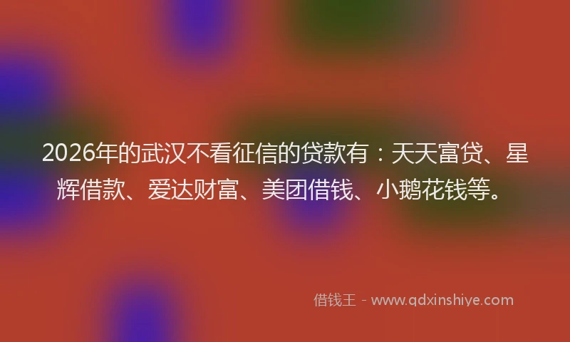 2026年的武汉不看征信的贷款有：天天富贷、星辉借款、爱达财富、美团借钱、小鹅花钱等。