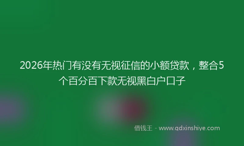 2026年热门有没有无视征信的小额贷款，整合5个百分百下款无视黑白户口子