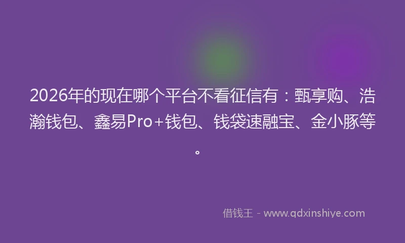 2026年的现在哪个平台不看征信有：甄享购、浩瀚钱包、鑫易Pro+钱包、钱袋速融宝、金小豚等。