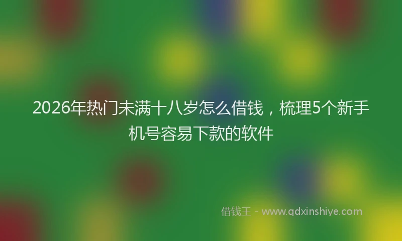 2026年热门未满十八岁怎么借钱,梳理5个新手机号容易下款的软件