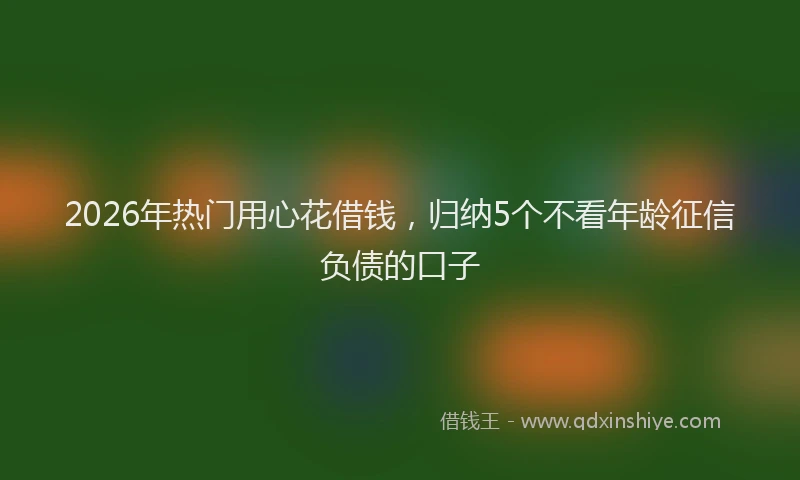 2026年热门用心花借钱，归纳5个不看年龄征信负债的口子