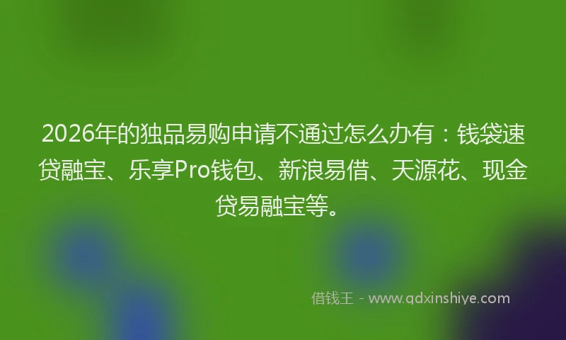 2026年的独品易购申请不通过怎么办有：钱袋速贷融宝、乐享Pro钱包、新浪易借、天源花、现金贷易融宝等。