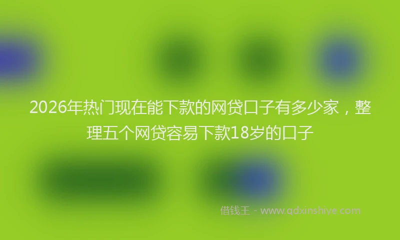 2026年热门现在能下款的网贷口子有多少家,整理五个网贷容易下款18岁的口子