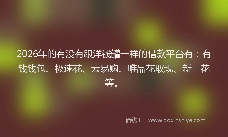2026年的有没有跟洋钱罐一样的借款平台有：有钱钱包、极速花、云易购、唯品花取现、新一花等。