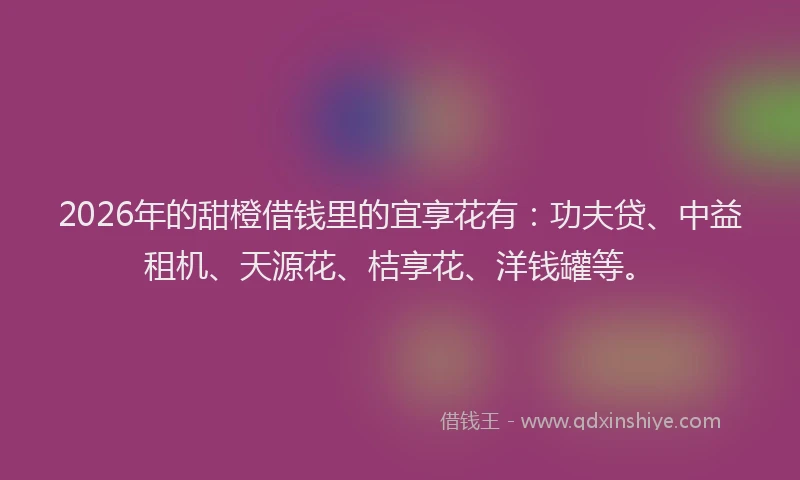 2026年的甜橙借钱里的宜享花有：功夫贷、中益租机、天源花、桔享花、洋钱罐等。
