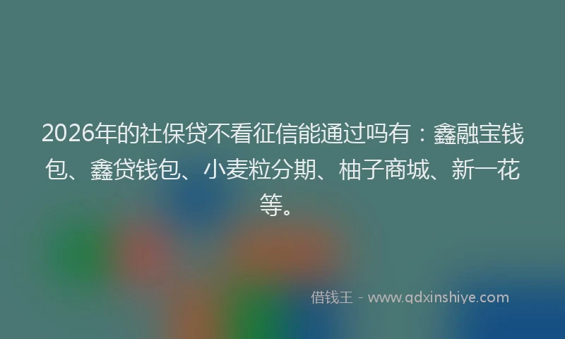 2026年的社保贷不看征信能通过吗有：鑫融宝钱包、鑫贷钱包、小麦粒分期、柚子商城、新一花等。