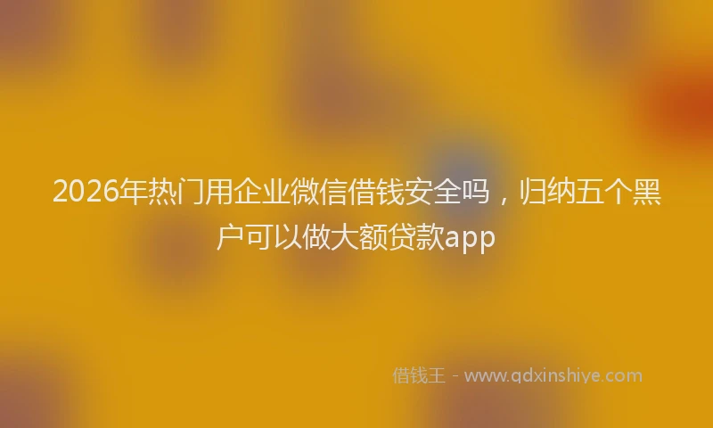 2026年热门用企业微信借钱安全吗，归纳五个黑户可以做大额贷款app
