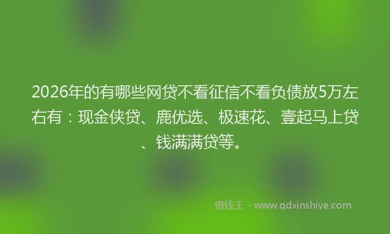 2026年的有哪些网贷不看征信不看负债放5万左右有：现金侠贷、鹿优选、极速花、壹起马上贷、钱满满贷等。