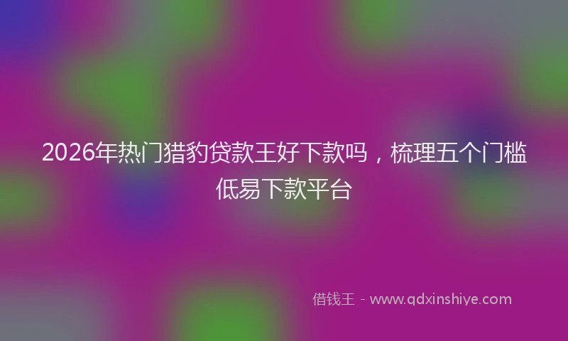 2026年热门猎豹贷款王好下款吗，梳理五个门槛低易下款平台