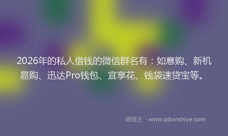 2026年的私人借钱的微信群名有：如意购、新机易购、迅达Pro钱包、宜享花、钱袋速贷宝等。