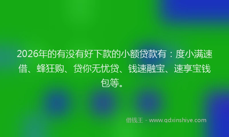 2026年的有没有好下款的小额贷款有:度小满速借、蜂狂购、贷你无忧贷、钱速融宝、速享宝钱包等。